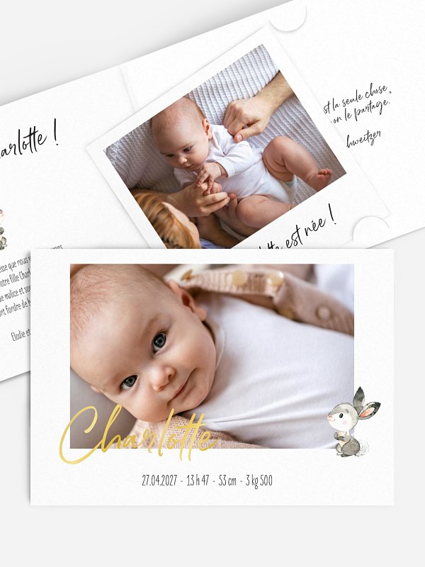 Bébés animaux