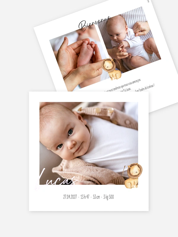 Bébés animaux