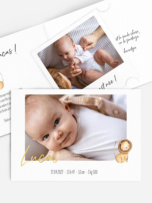 Bébés animaux