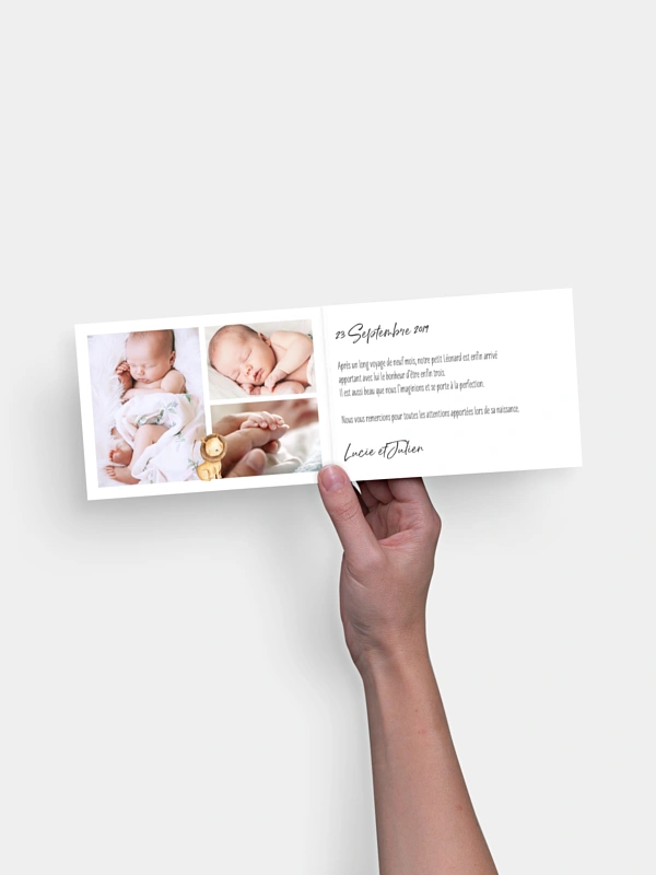 Faire-part naissance Bébés animaux