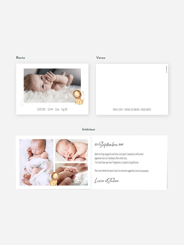 Faire-part naissance Bébés animaux