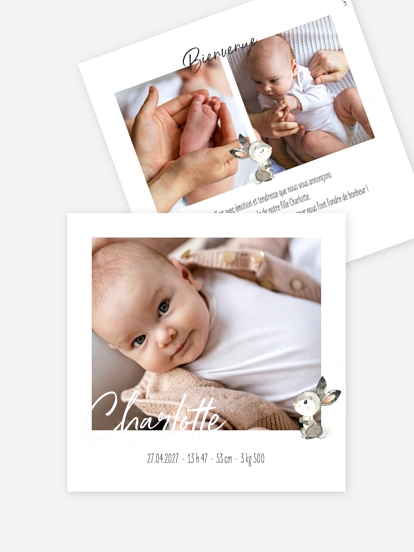 Faire-part naissance Bébés animaux