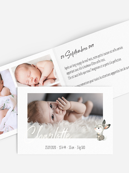 Faire-part naissance Bébés animaux