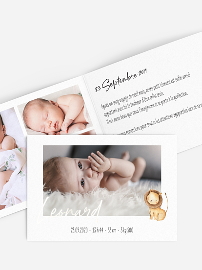 Faire-part naissance Bébés animaux