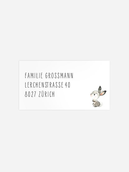 Empfängeraufkleber Geburt Proudly Present