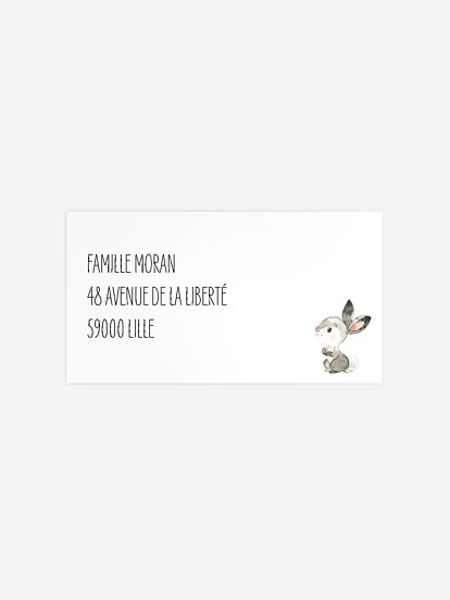 Étiquette destinataire naissance Bébés animaux