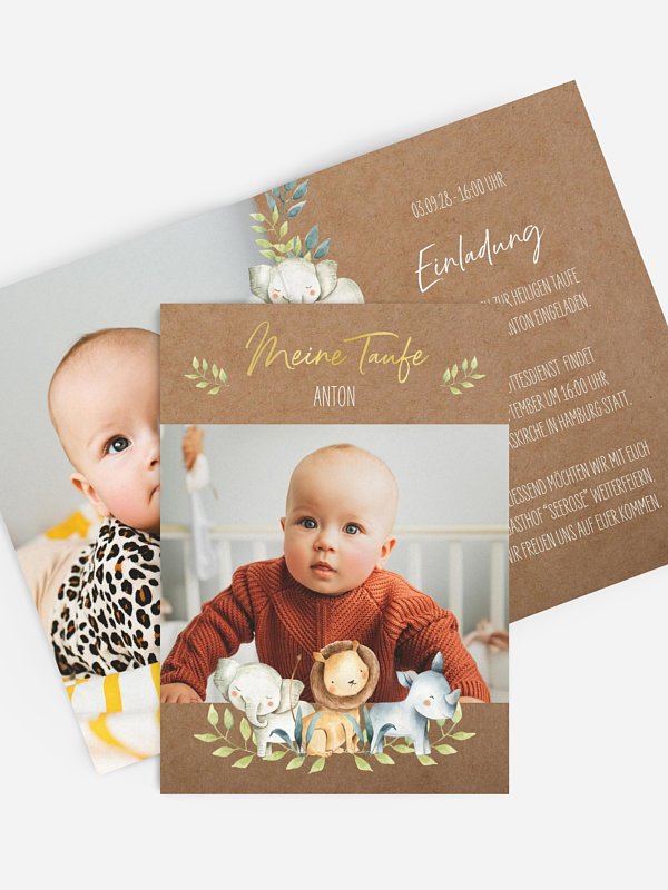 Safari