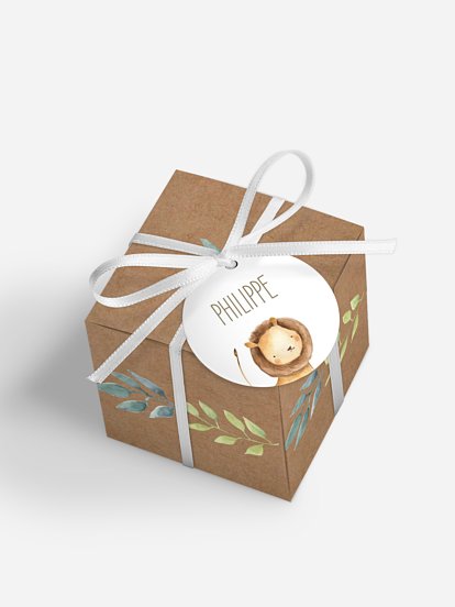 Boite à dragées baptême Safari