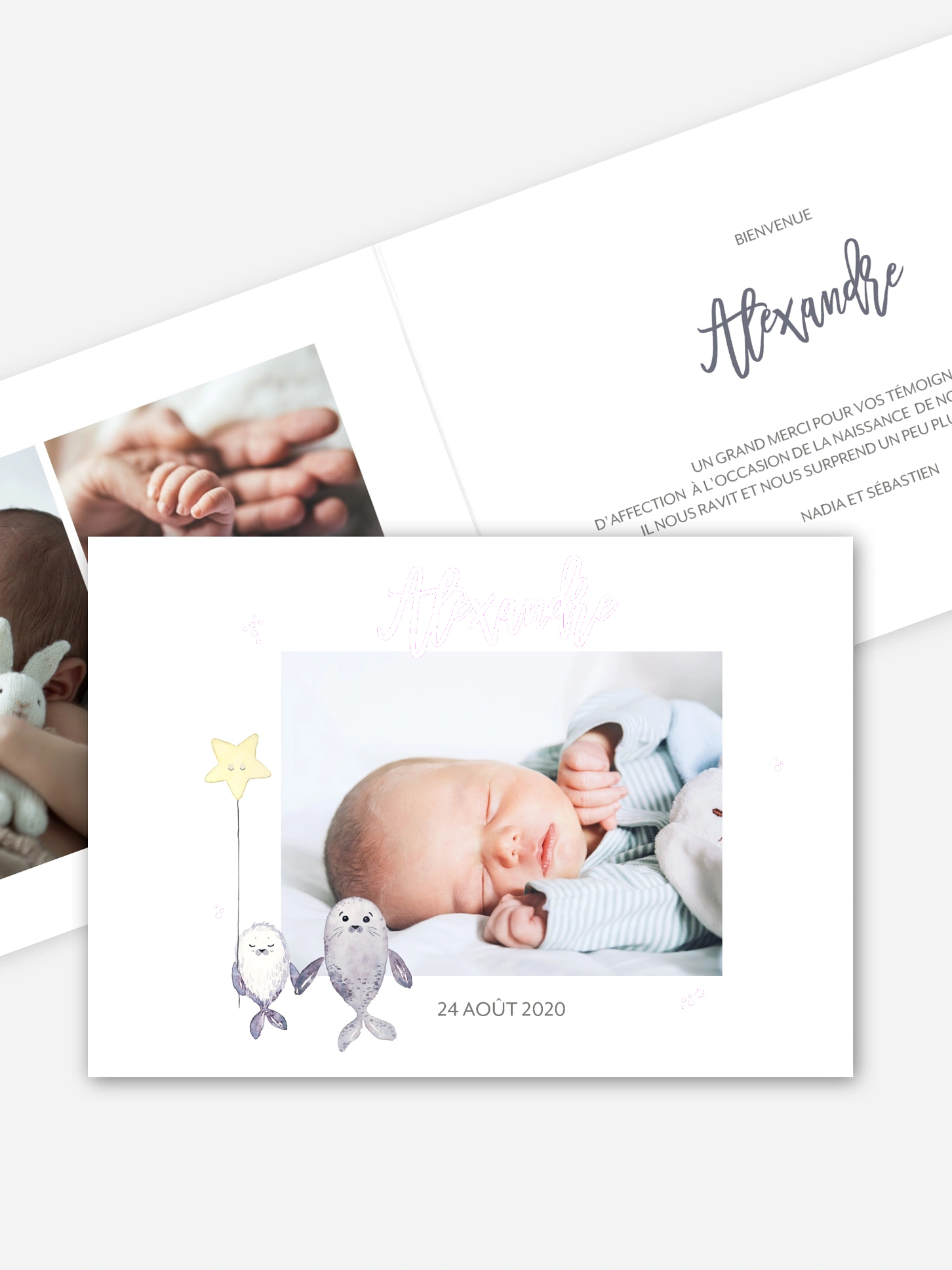 Faire-part naissance Famille d'otaries