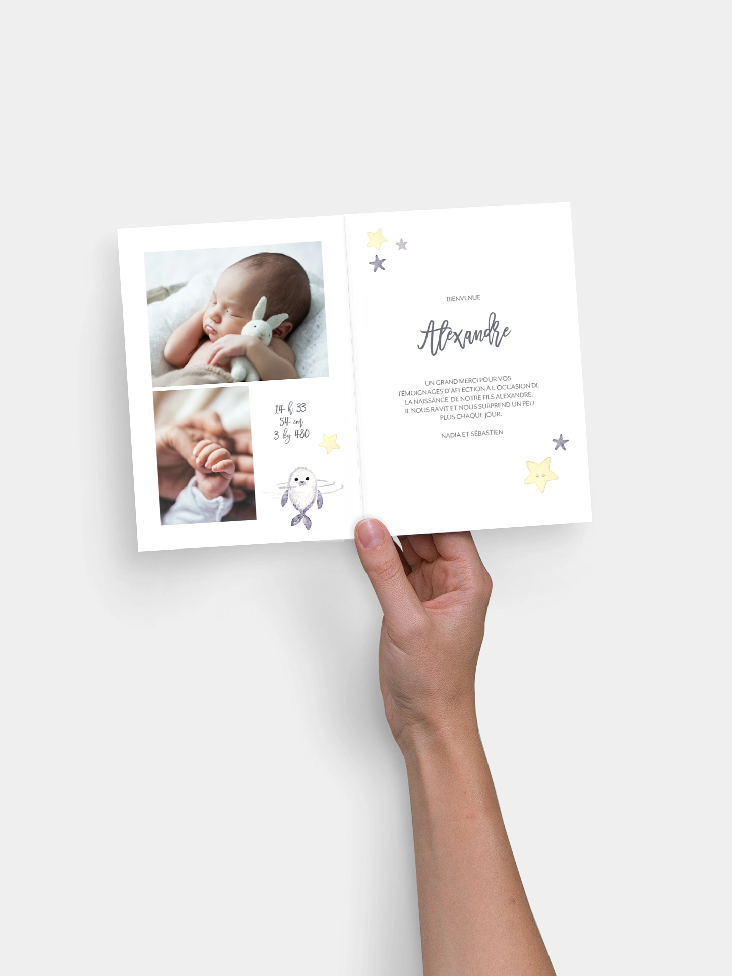 Faire-part naissance Famille d'otaries