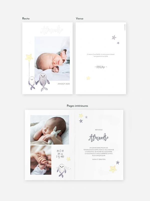 Faire-part naissance Famille d'otaries