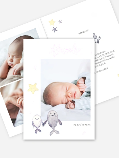 Faire-part naissance Famille d'otaries
