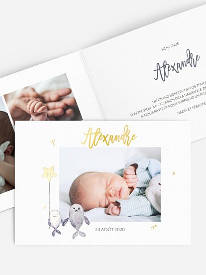 Faire-part naissance Famille d'otaries