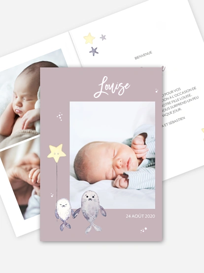 Faire-part naissance Famille d'otaries