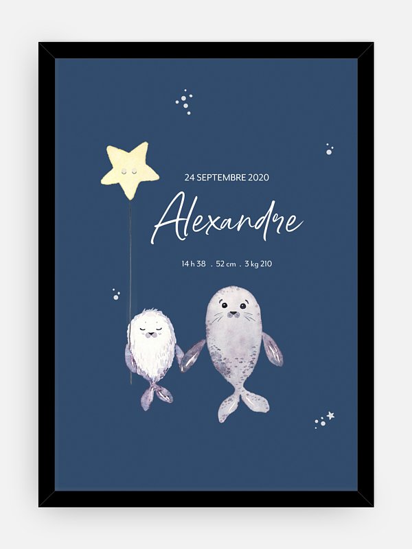 Affiche naissance Famille d'otaries