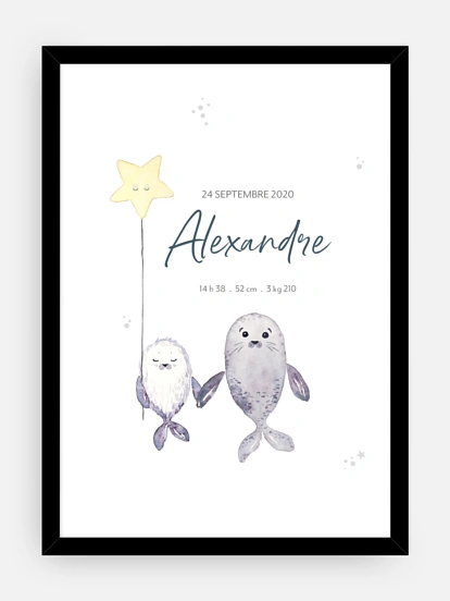 Famille d'otaries