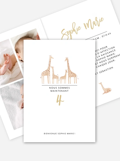 Happy Family Happy Family