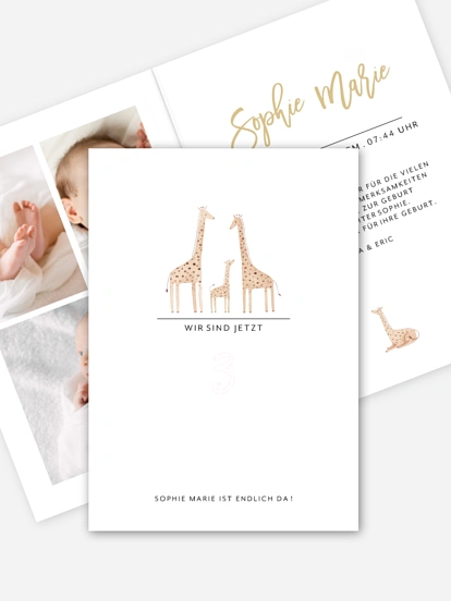 Happy Family Happy Family