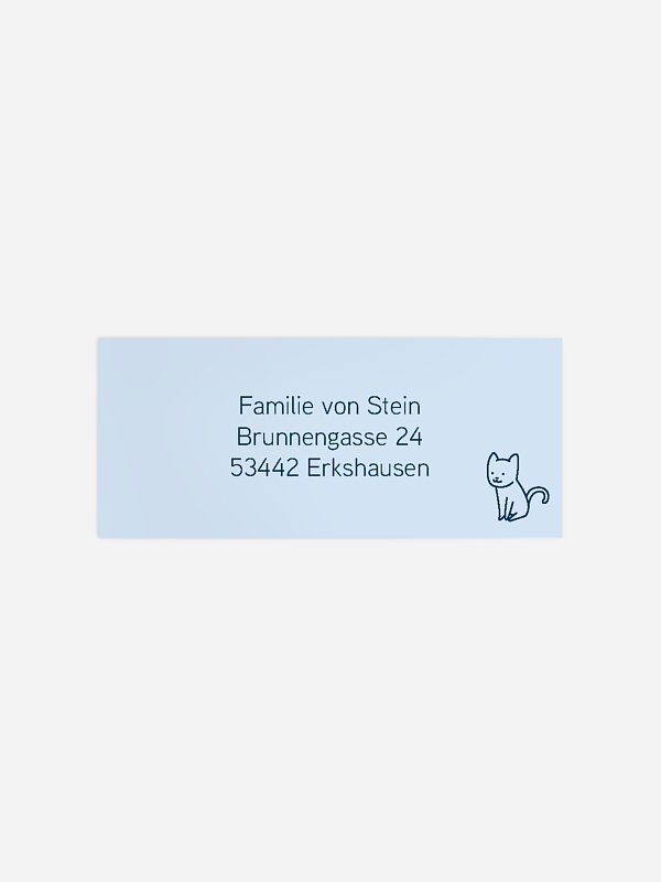 Little Cat