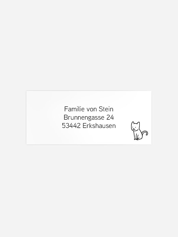 Little Cat