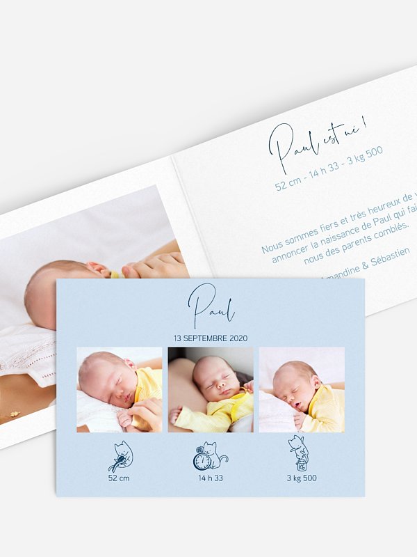 Little Cat