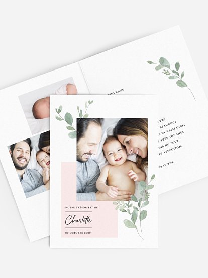 Little Greenery Little Greenery