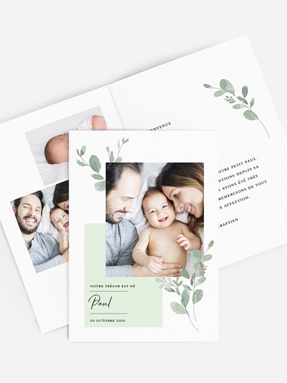 Little Greenery Little Greenery