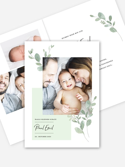 Little Greenery Little Greenery