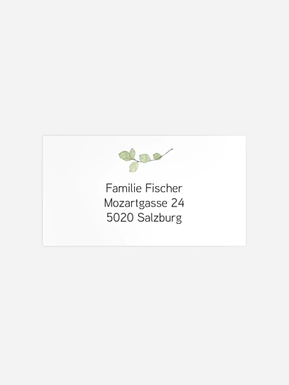 Empfängeraufkleber Geburt Little Leaf