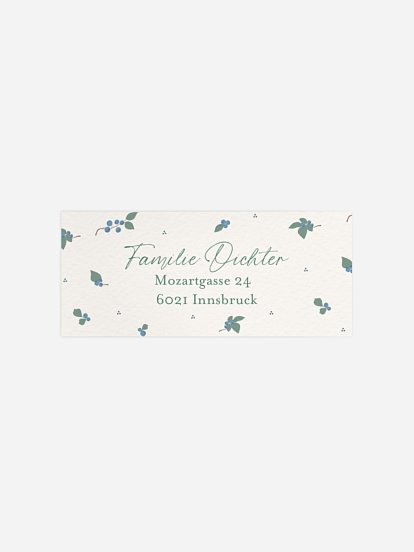 Absenderaufkleber Geburt Blueberries 2