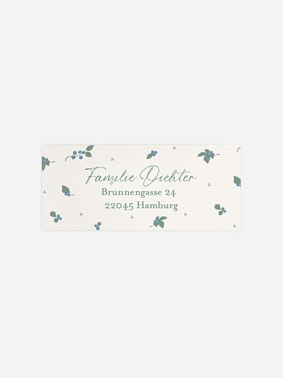 Absenderaufkleber Geburt Blueberries 2