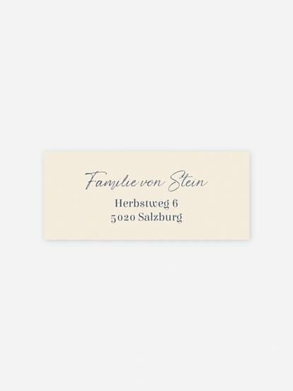 Absenderaufkleber Geburt Manege frei