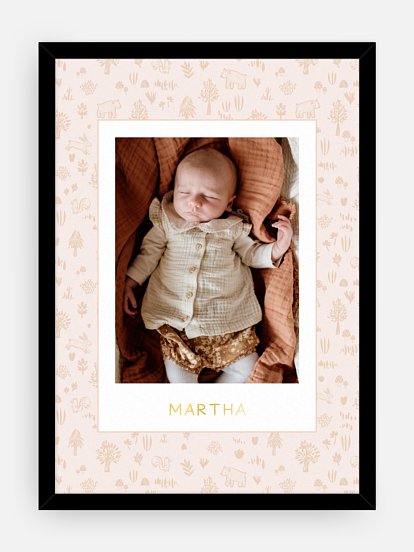 Little Forest Little Forest