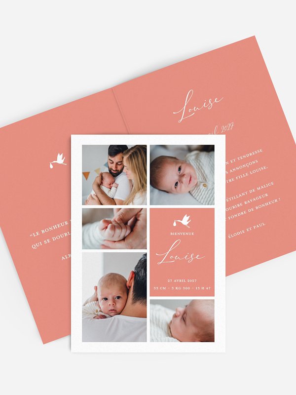 Faire-part naissance Cigogne