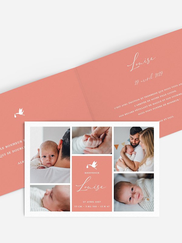 Faire-part naissance Cigogne