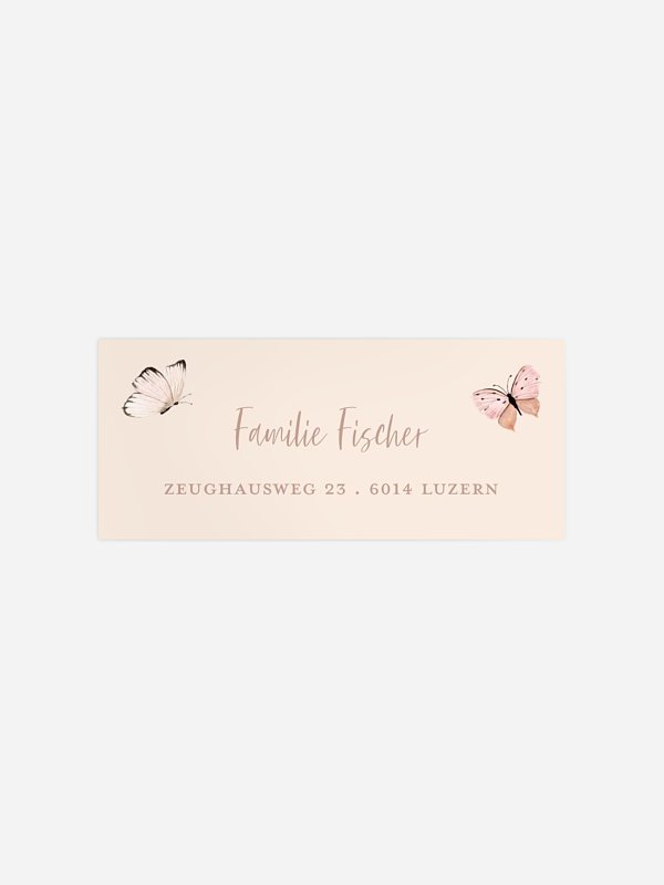 Little Butterflies