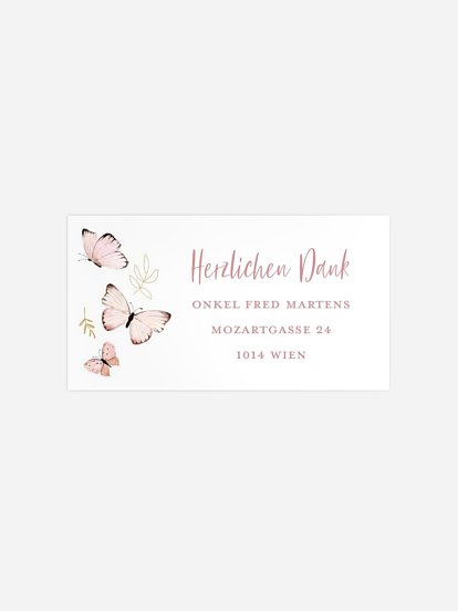 Empfängeraufkleber Geburt Kleine Schmetterlinge