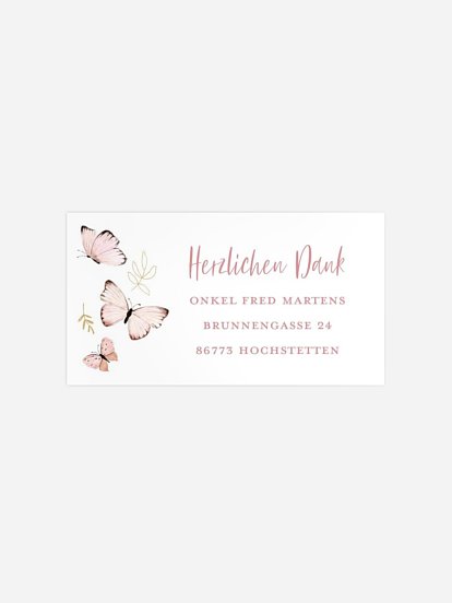 Empfängeraufkleber Geburt Kleine Schmetterlinge