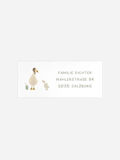 Absenderaufkleber Geburt Goosefamily
