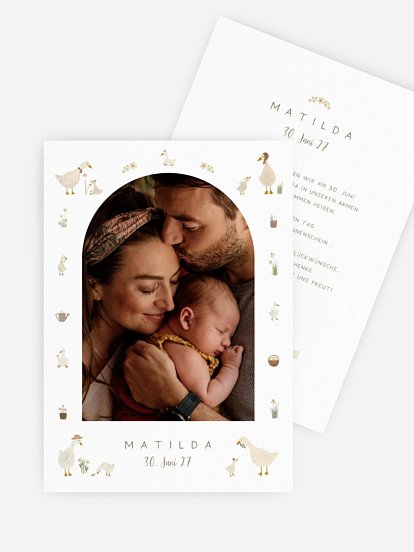 Goosefamily Goosefamily