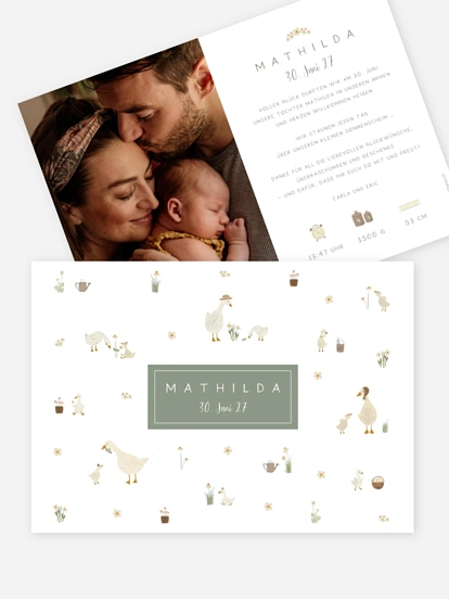 Goosefamily ohne Foto