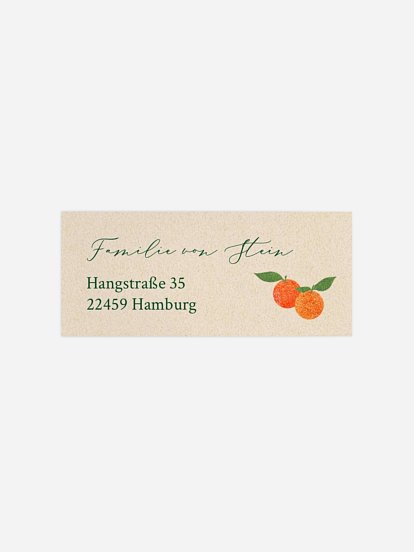 Absenderaufkleber Geburt Süßes Wunder