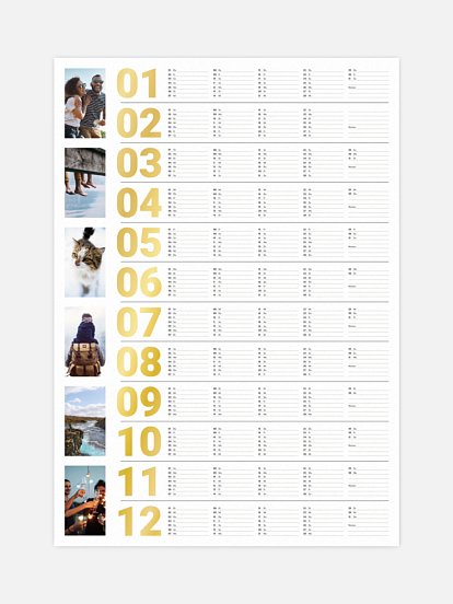 Bold Year Bold Year