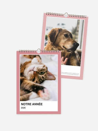 Calendrier mural Année colorée