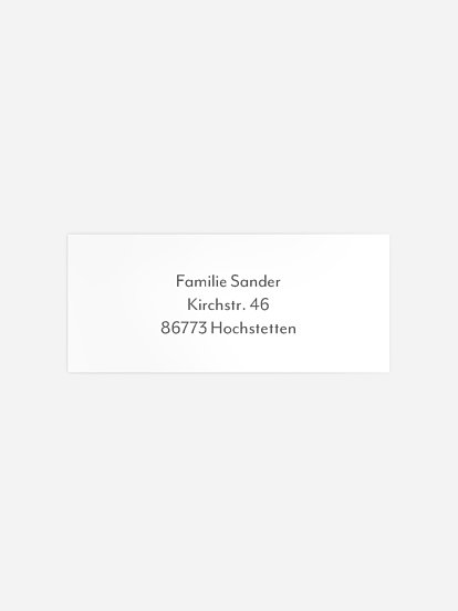 Absenderaufkleber Weihnachten Time to Celebrate