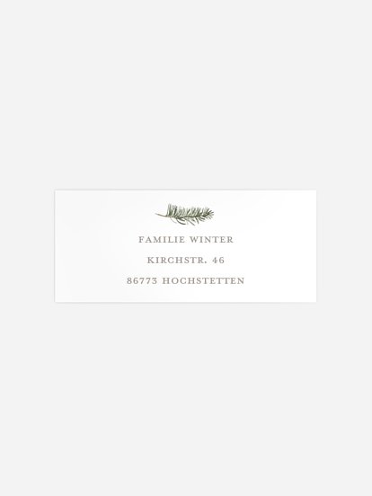 Festive Forest Festive Forest