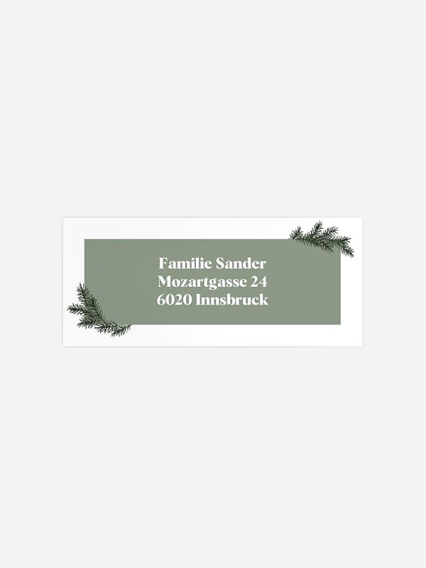 Wintergreen