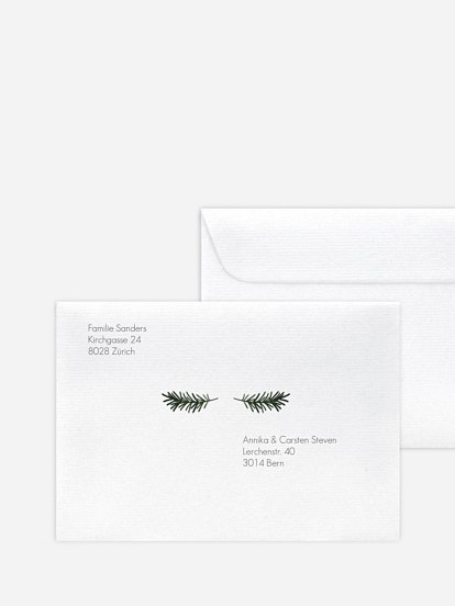 Wintergreen Wintergreen