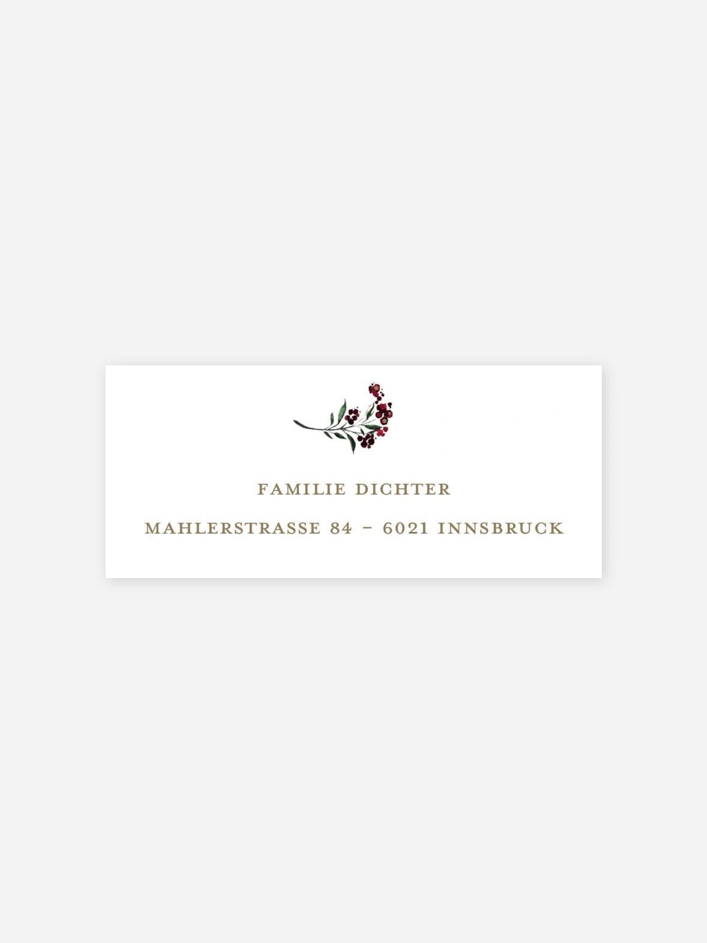Absenderaufkleber Weihnachten Winterberry