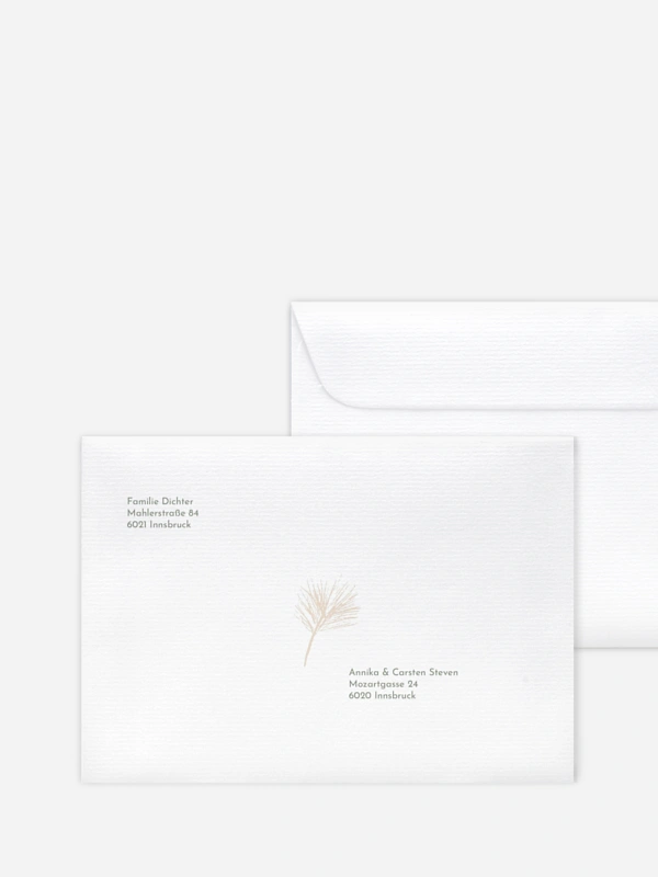 Elegant Pine